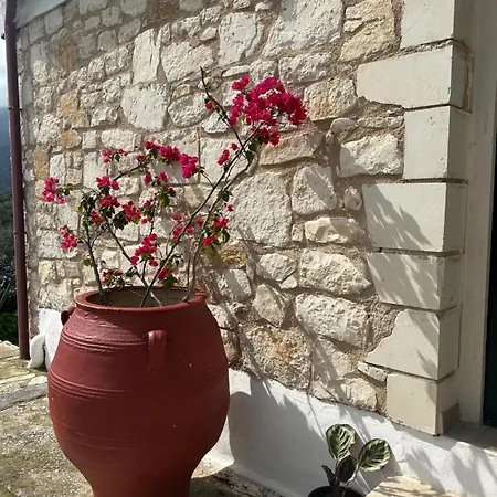 Apartment Ormilia Chania (Crete)