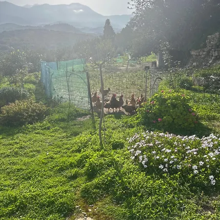 Ormilia Apartment Chania (Crete)