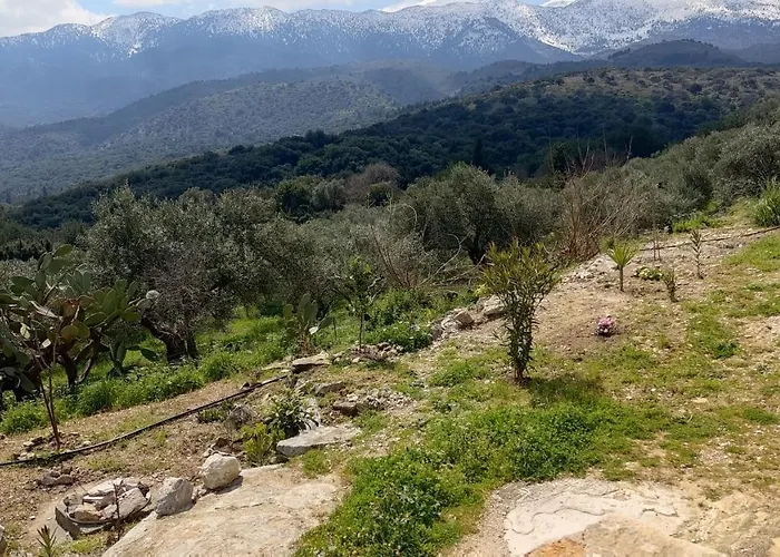 Ormilia Chania (Crete)