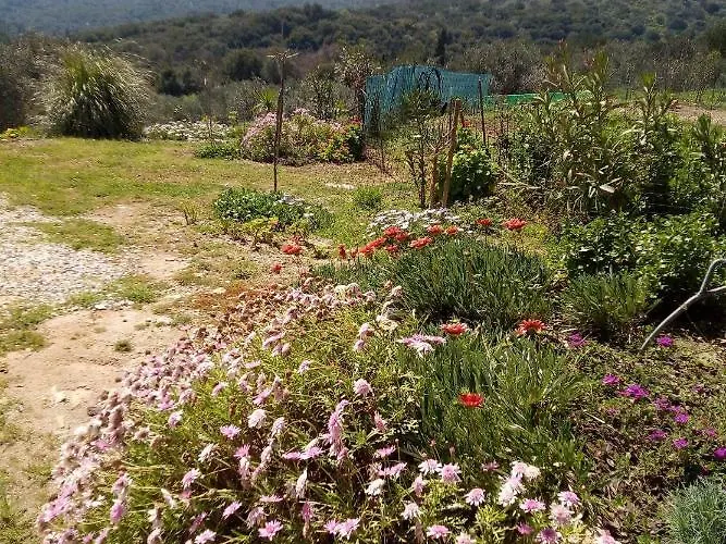 Ormilia Chania (Crete)
