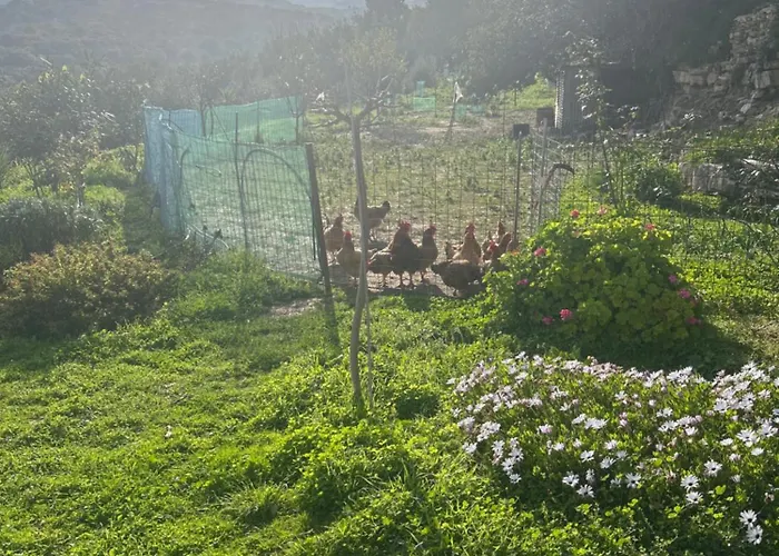 Ormilia Apartment Chania (Crete)