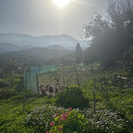 Ormilia Apartman *
